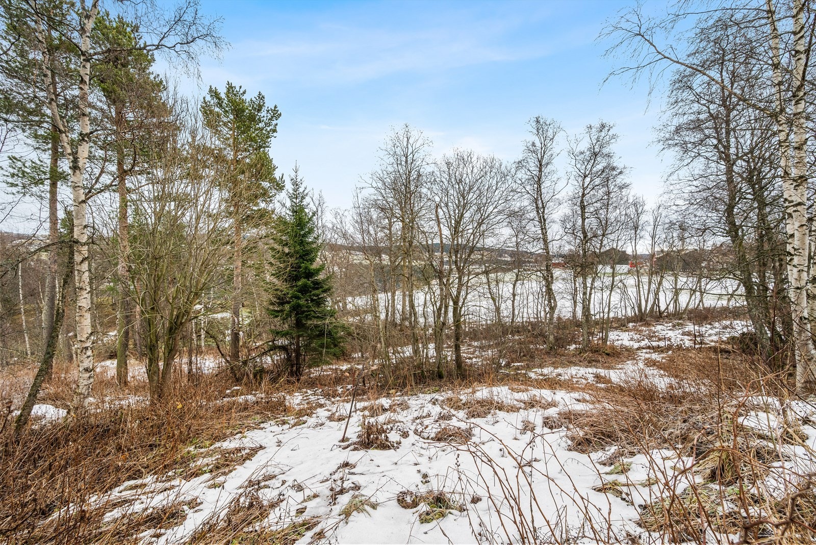 Romslig tomt på over 900 kvm. Galleribilde