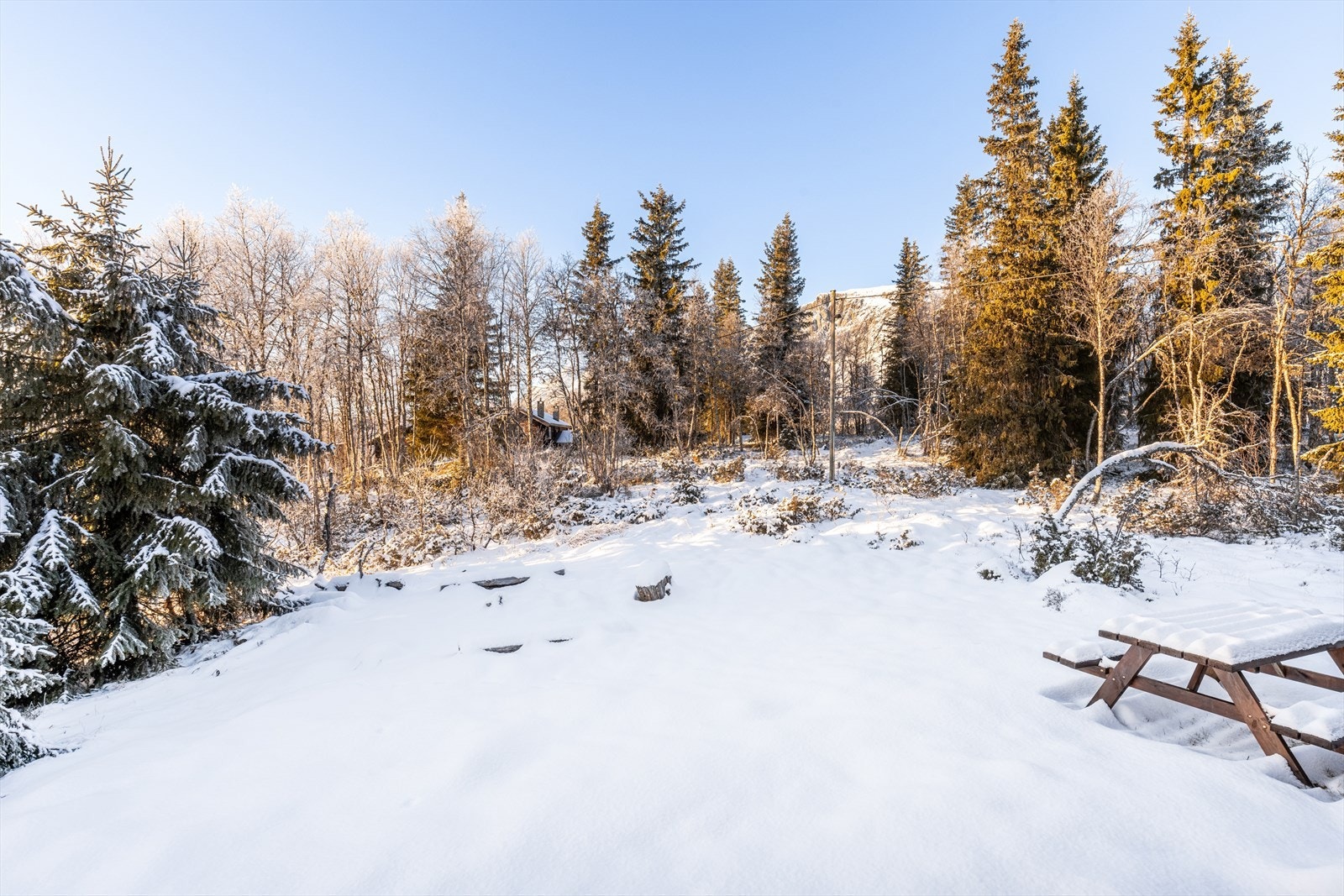 Hyggelig tomtearal. Galleribilde