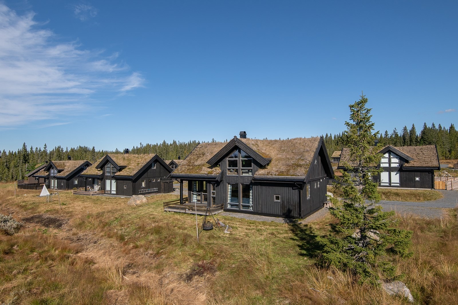 Fritt og fint utenfor stua og terrassen på hytta. Begrenset med direkte innsyn. Galleribilde