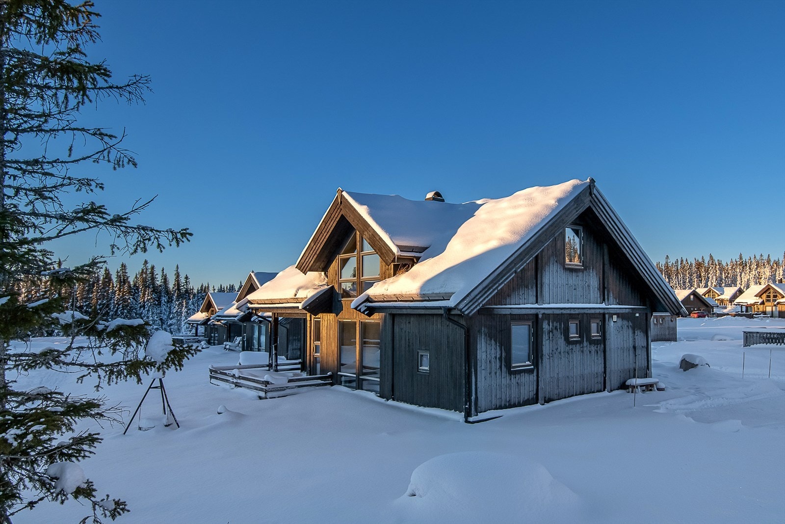 Fritt og fint utenfor stua og terrassen på hytta. Begrenset med direkte innsyn. Galleribilde