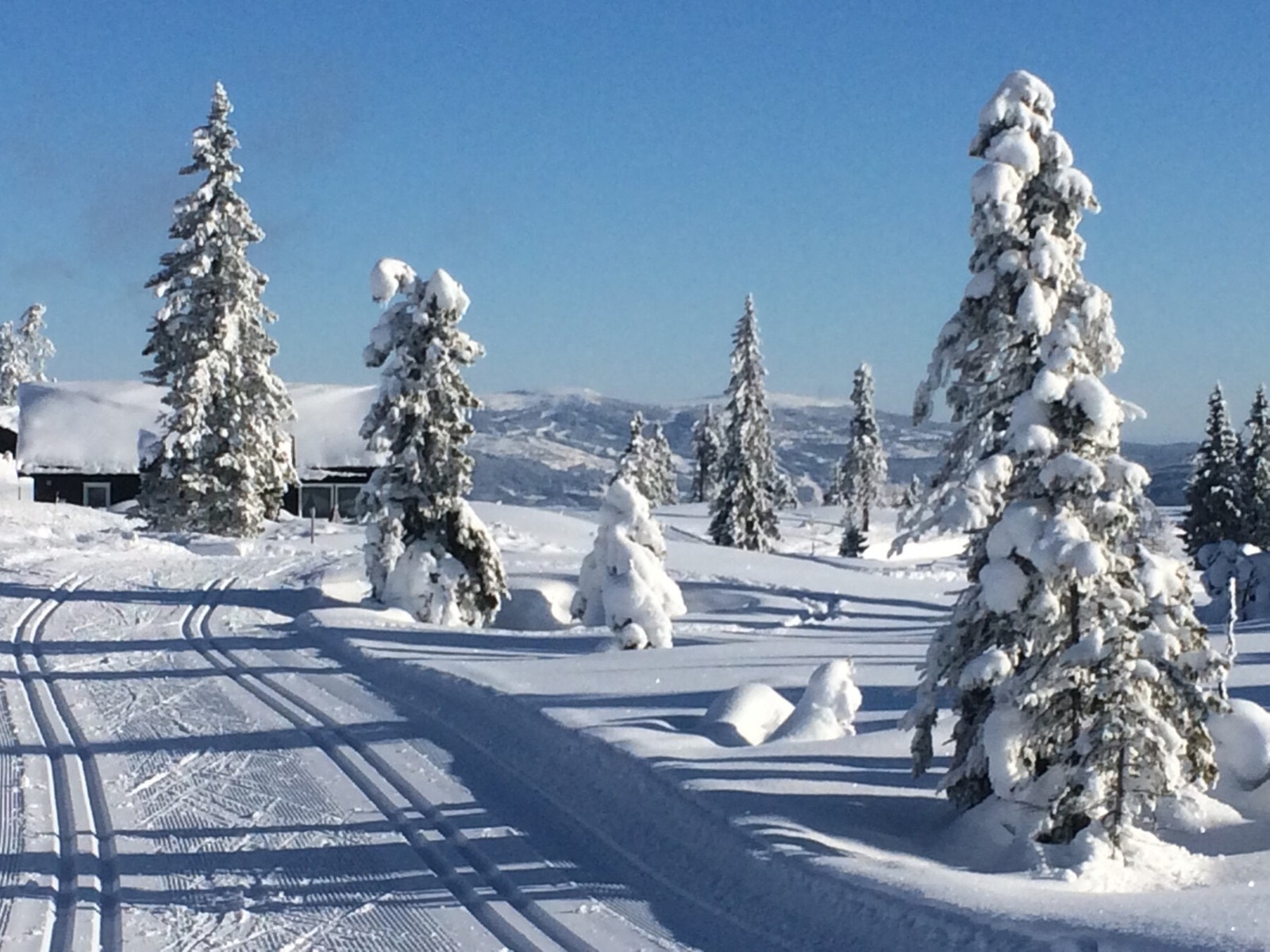 Nydelige skiløyper som henger sammen med løypenettet på Skeikampen og Kvitfjell Galleribilde