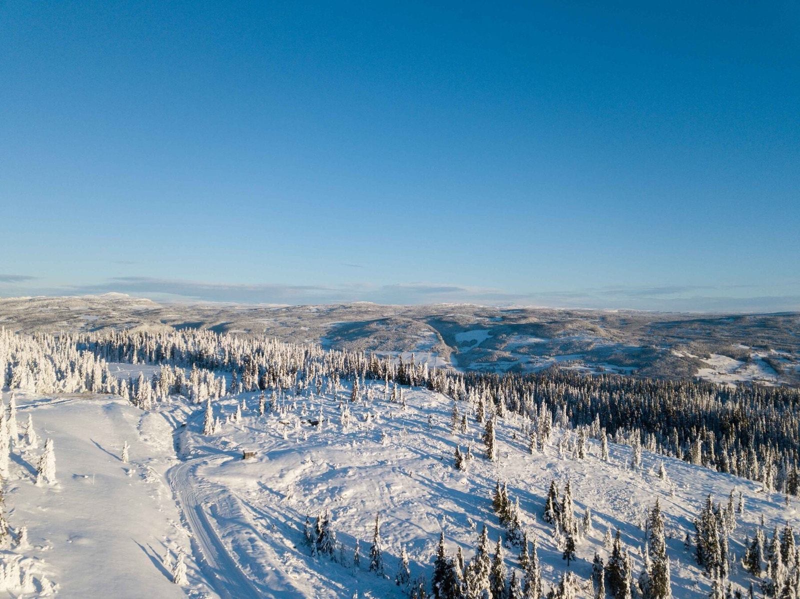 Dronefoto over tomteområdet Galleribilde