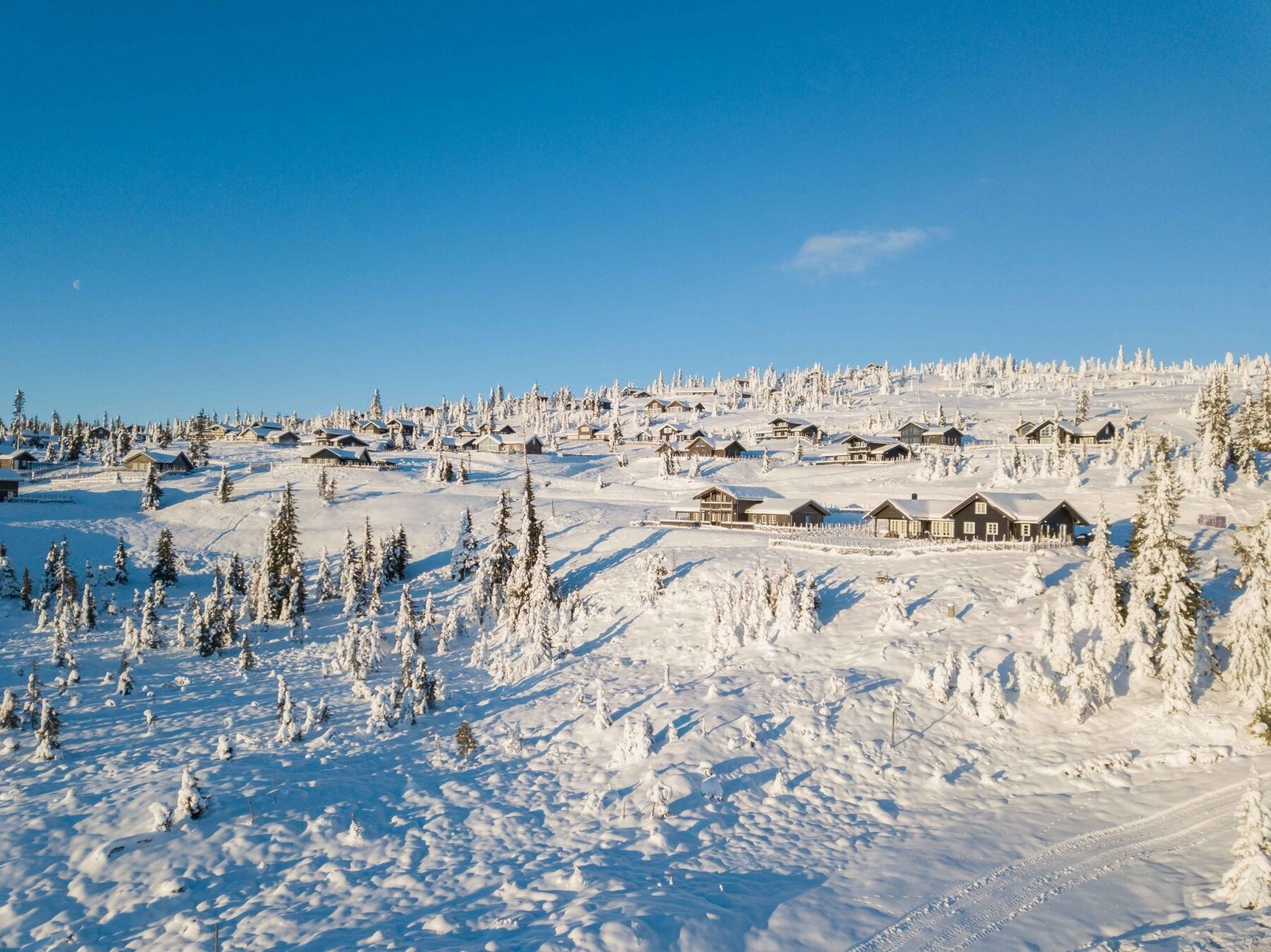 Foto fra Musdalssæter hyttegrend Galleribilde