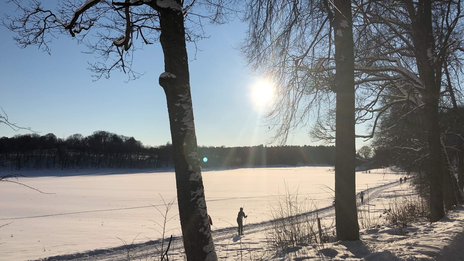 Skimuligheter på Bygdøy på vinterstid Galleribilde