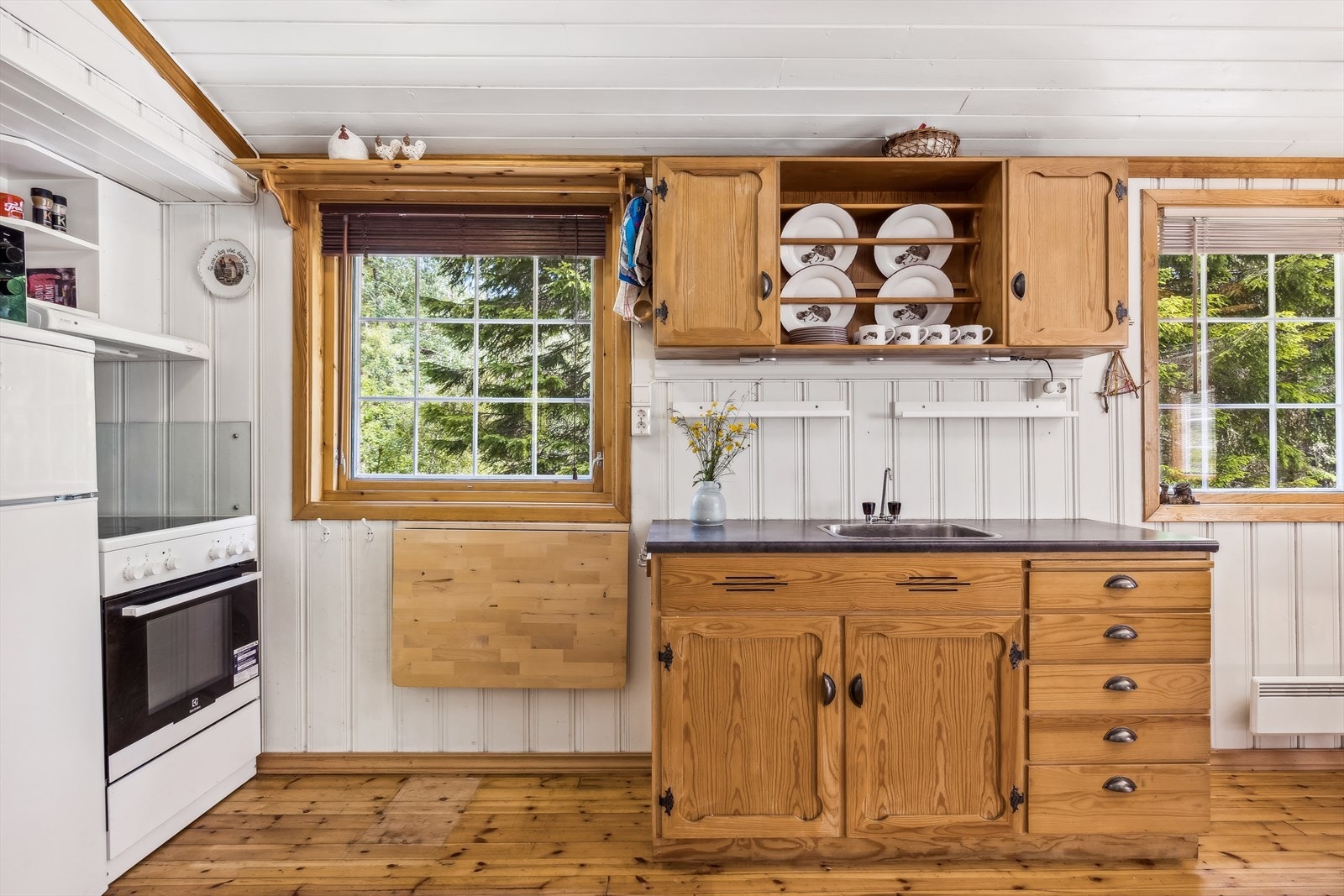 Kjøkken med hvitevarer og innlagt vann fra elv. Galleribilde