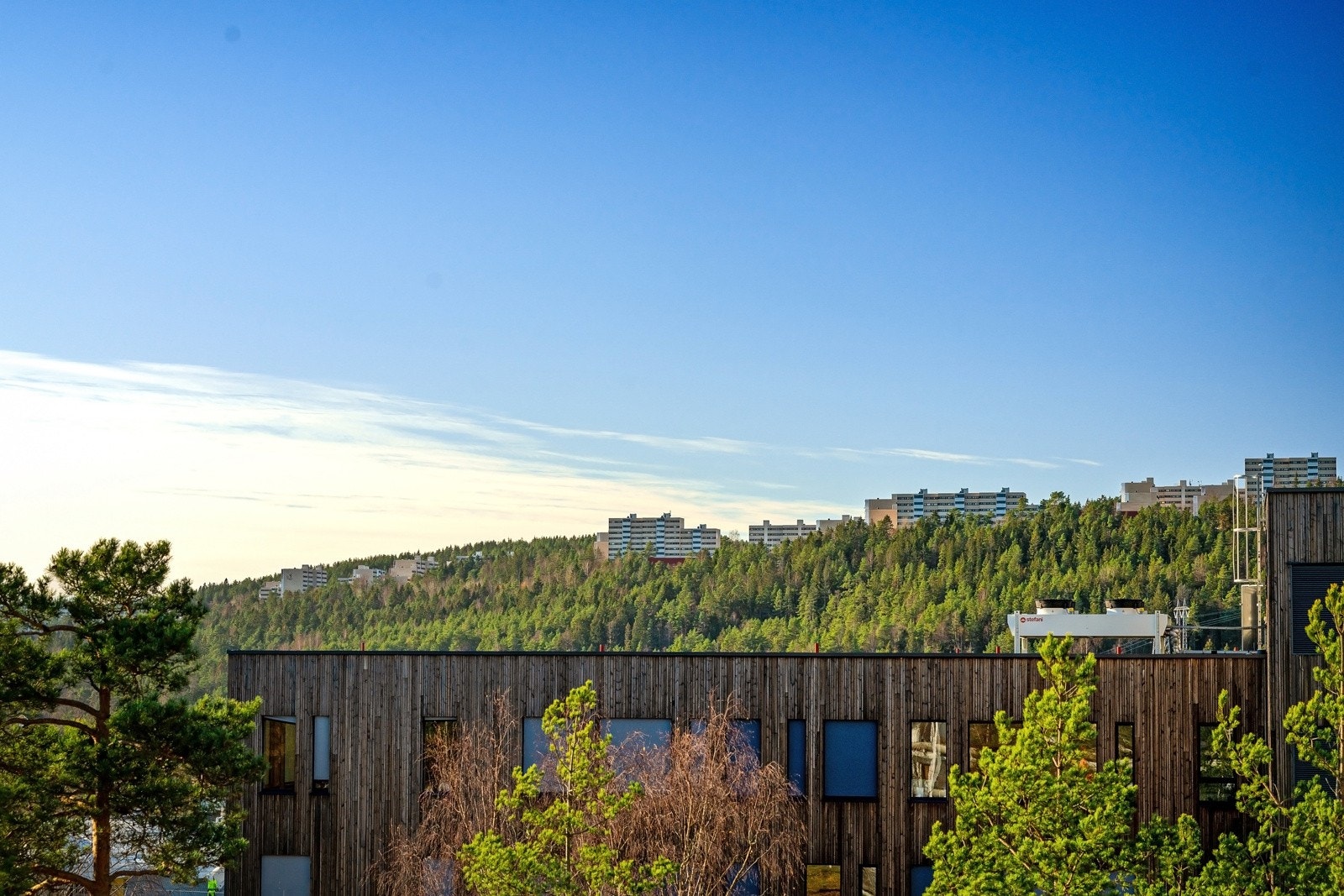 Utsikt. Galleribilde