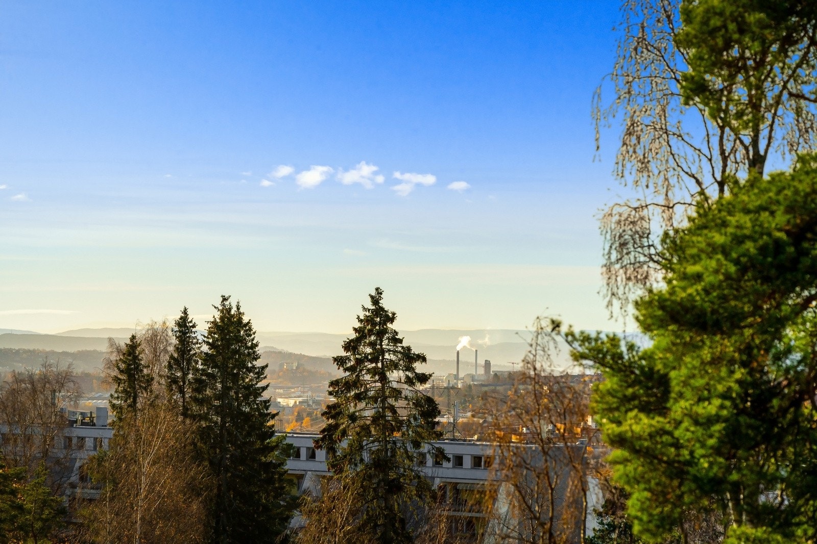 Nydelig utsikt. Galleribilde