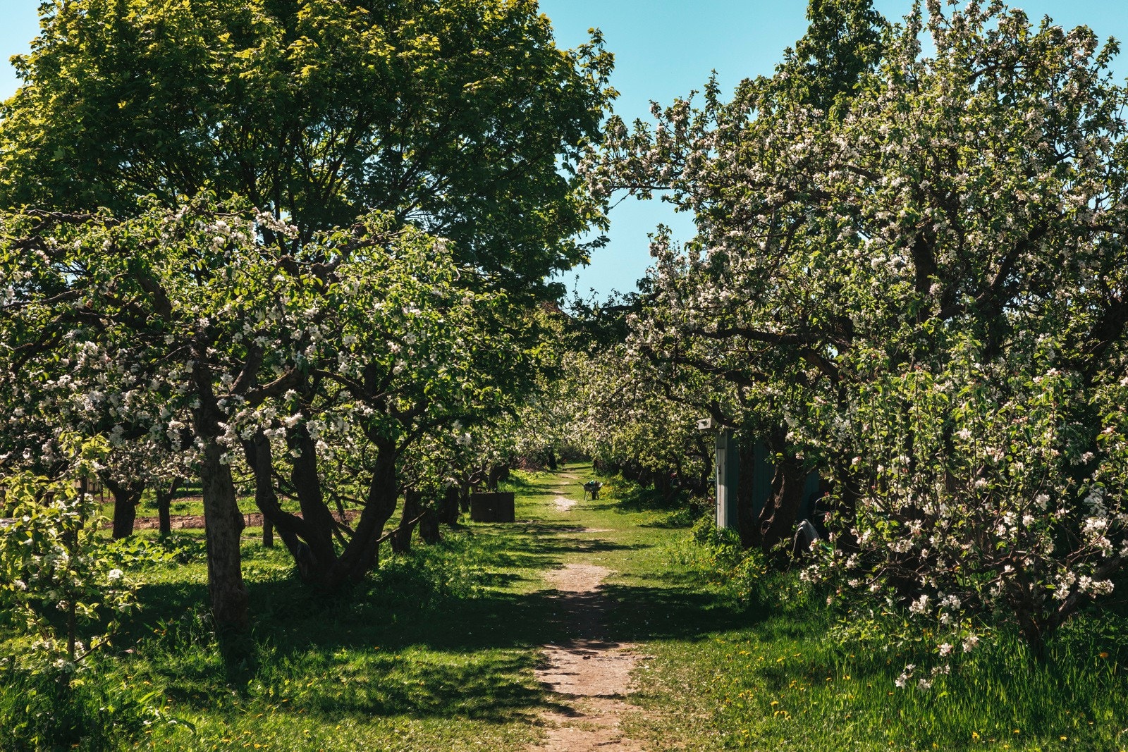 Selger skriver: "Geitemyra skolehage har vi brukt utrolig mye. Her er det blant annet høner som barna elsker å hilse på." Galleribilde