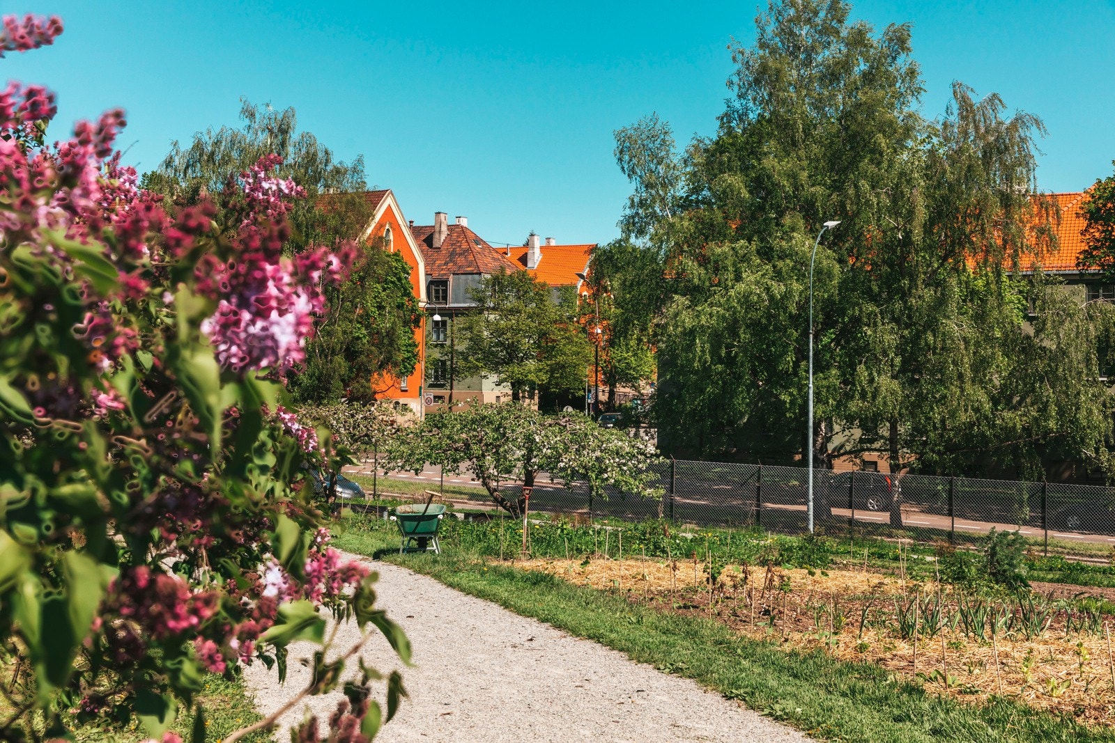 Området har vært i kontinuerlig kommunal drift som skolehage/parsellhage og er i dag både veldrevet og godt utnyttet. Galleribilde