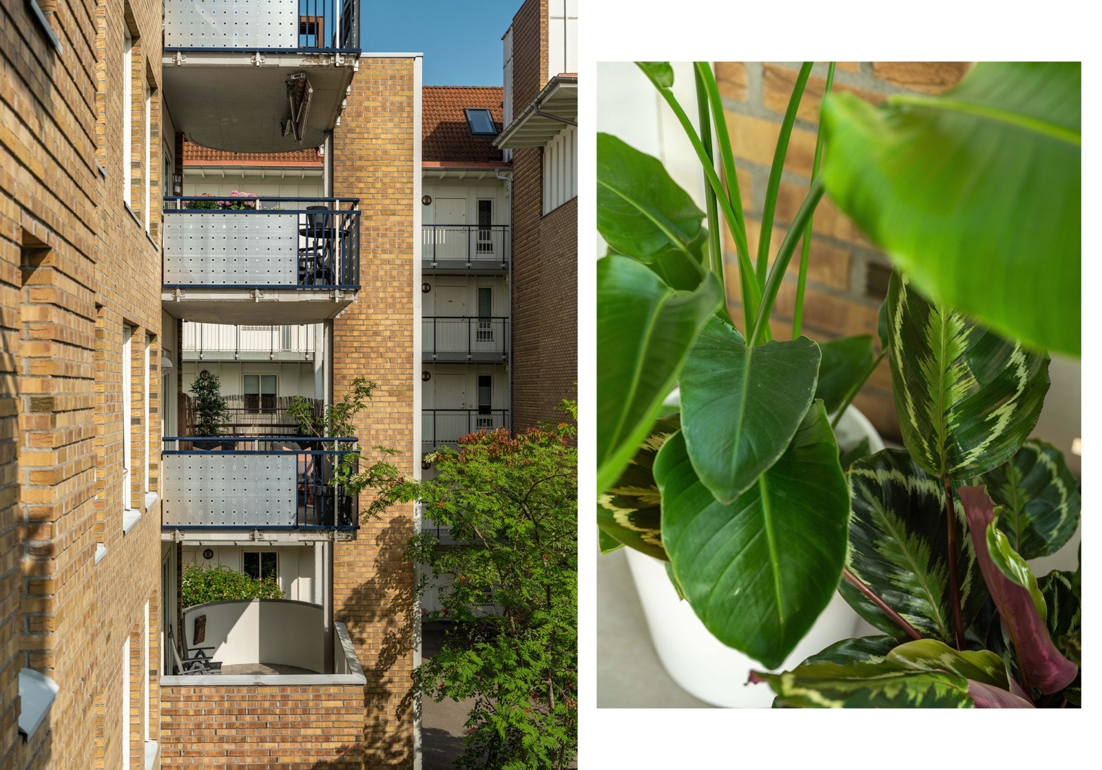 Når grillmaten er klar kan du vinke for oppmerksomhet til samboeren som soler seg på den andre balkongen. Galleribilde