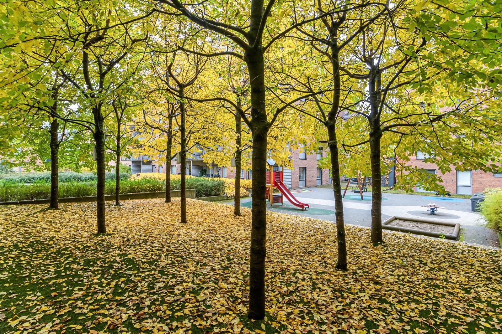 Felles bakgård. Galleribilde