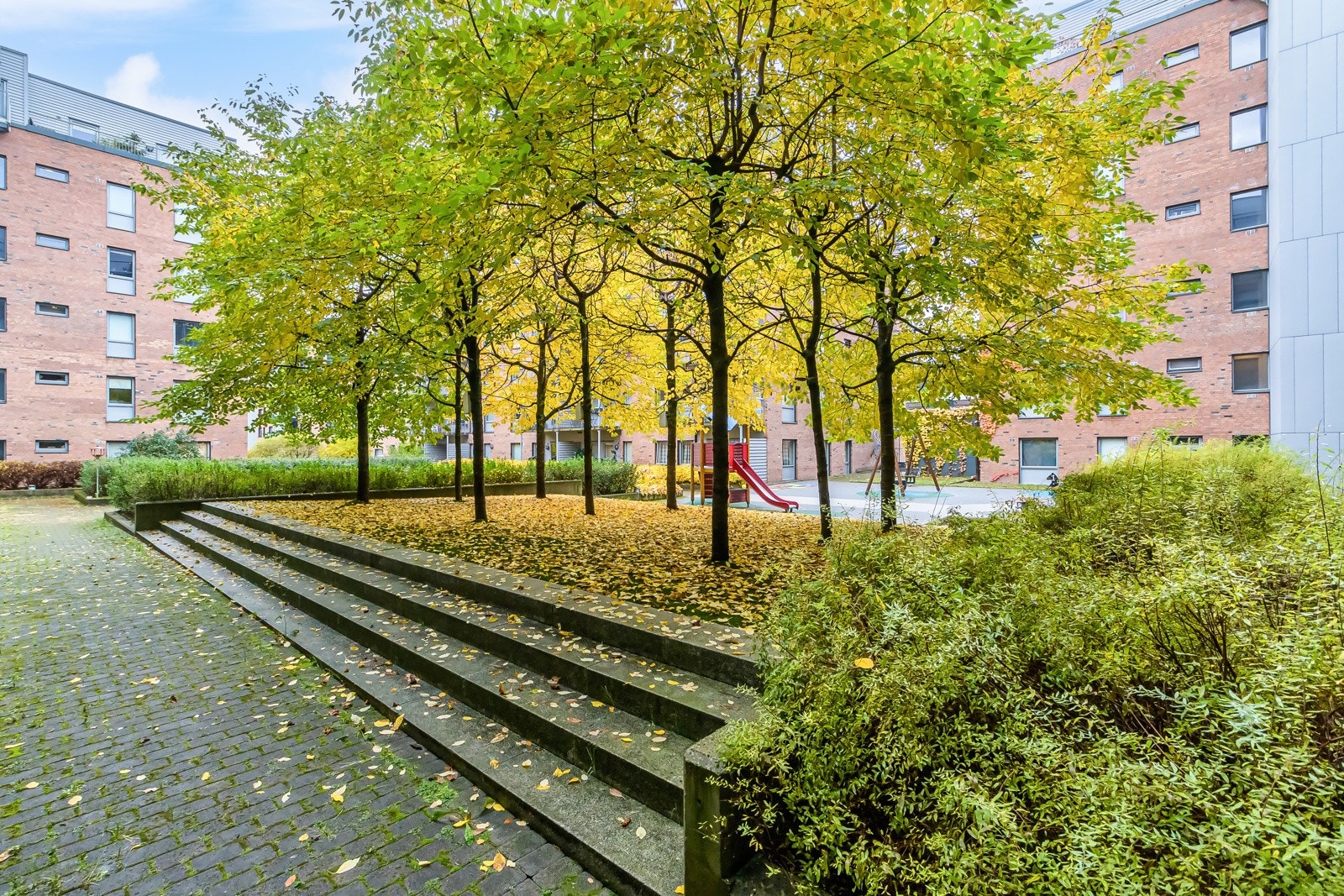 Felles bakgård. Galleribilde