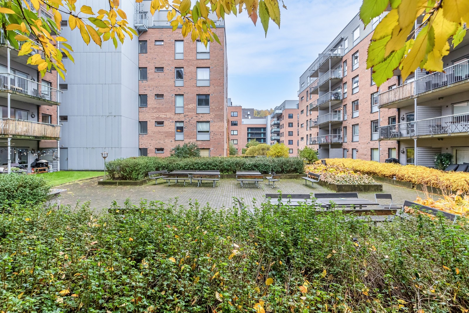 Felles bakgård. Galleribilde