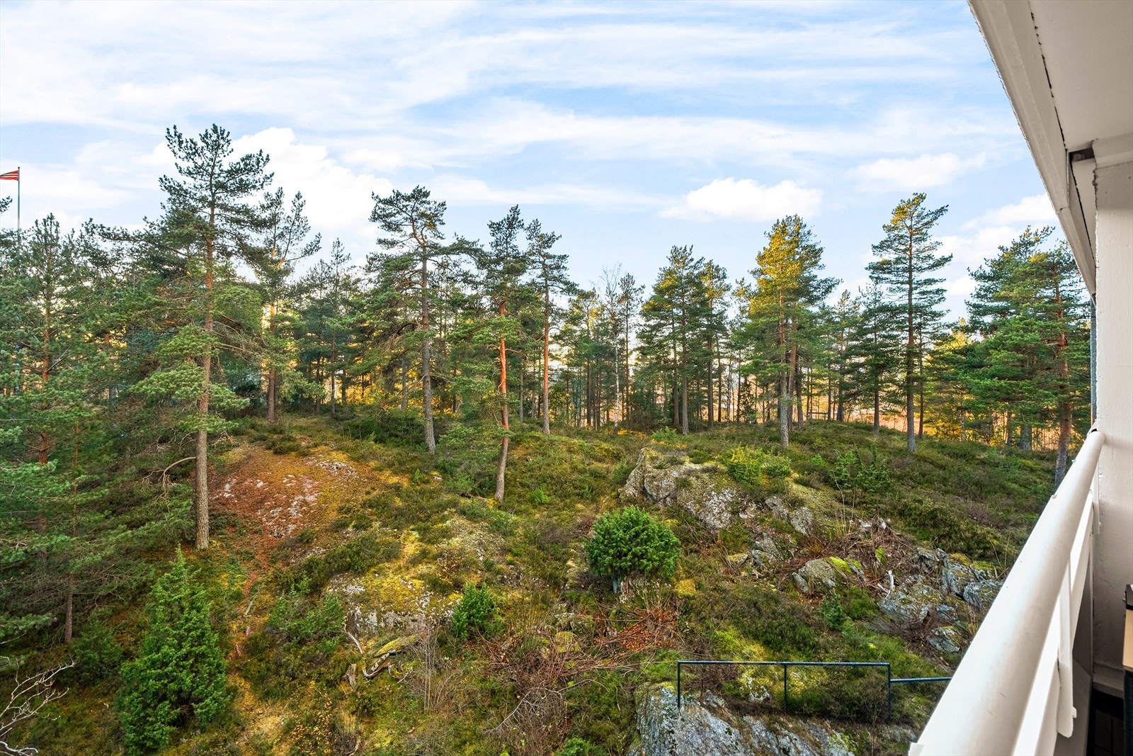 Flott utsikt fra balkongen - Borettslaget grenser til Østmarka med omfattende tur og rekreasjonsterreng. Lutvannet er ca 900 meter gange fra boligen. Galleribilde