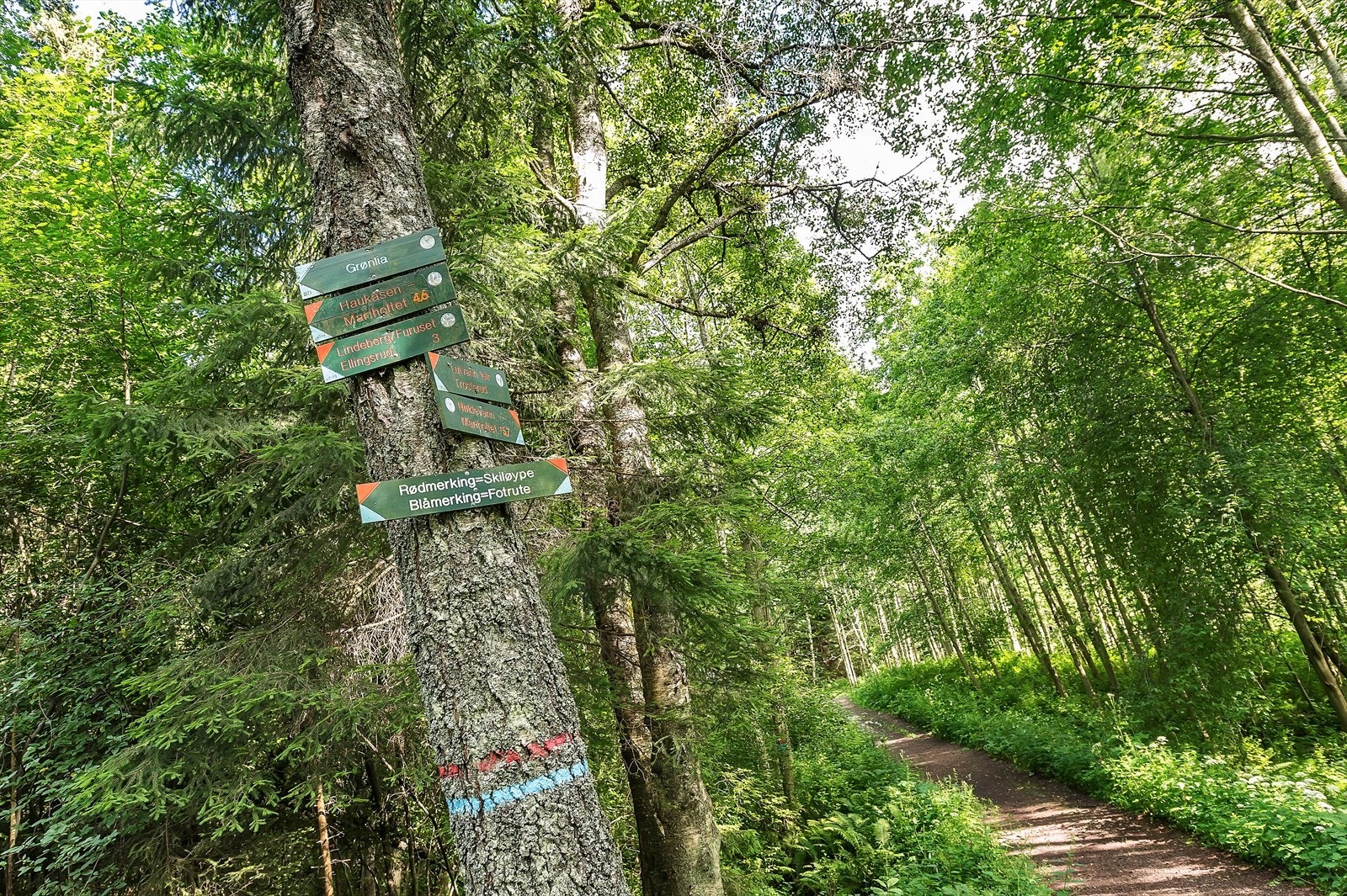 Fine stier på sommerstid og preparerte løyper vinterstid. Galleribilde