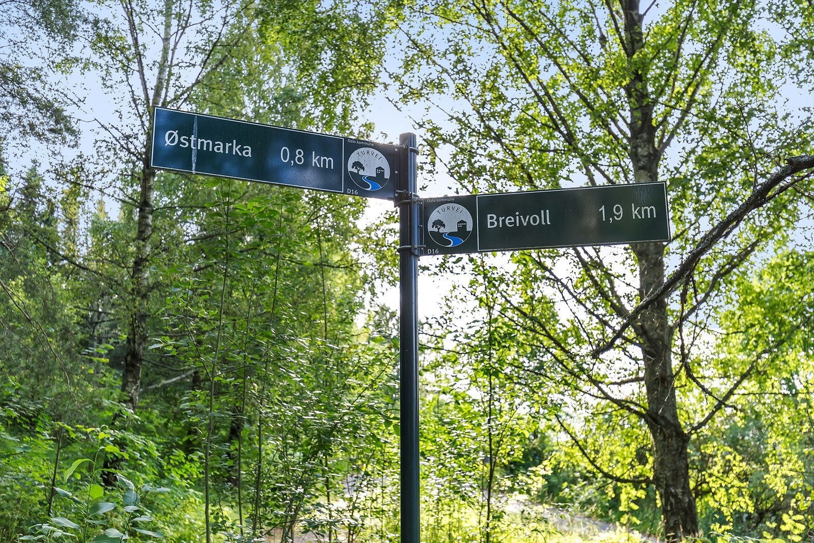 Inngang til markas utallige turløyper og badeplasser, ca. 100 meter unna. Galleribilde