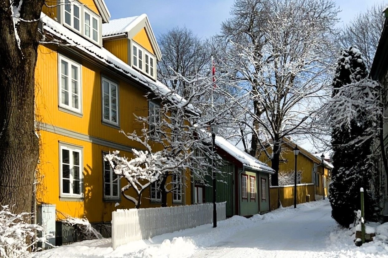 Nærområde: Idyllisk småhusbebyggelse på vinterstid Galleribilde