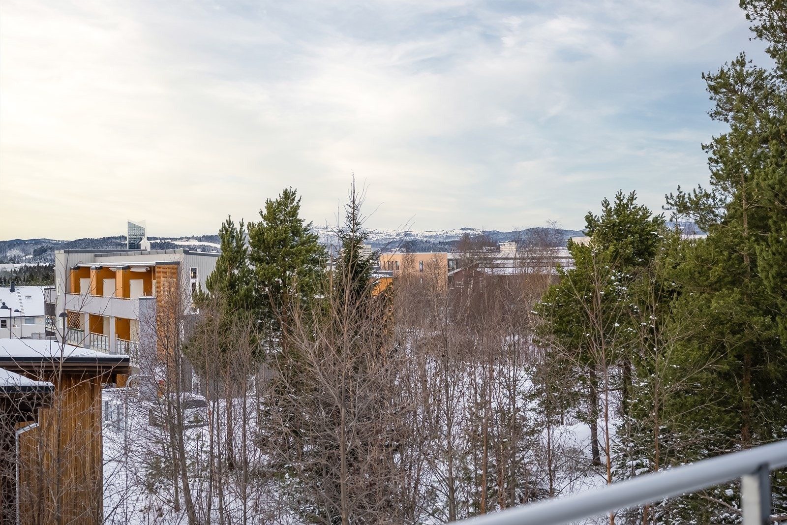 Vegetasjonen rundt tomta fungerer godt som skjerming mot nabotomtene. Galleribilde