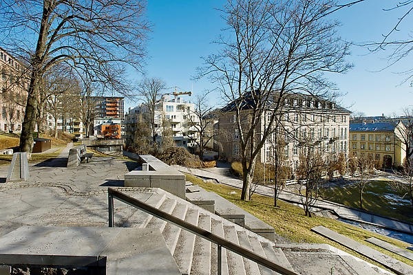 Nærområde. Galleribilde