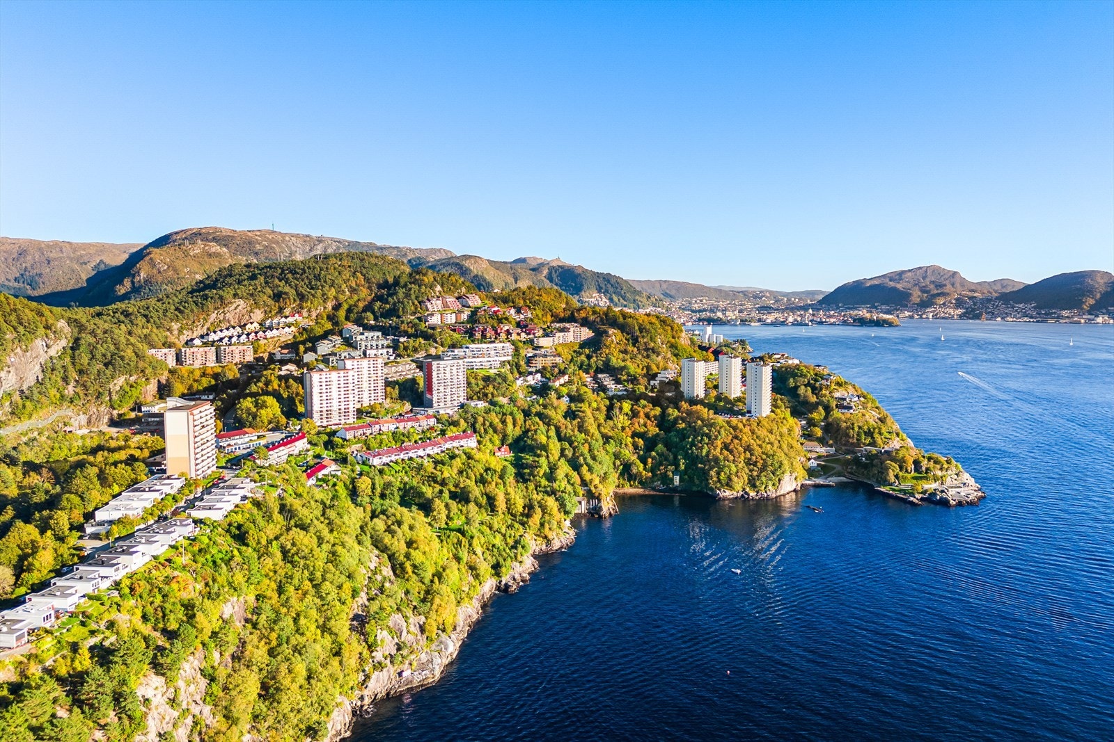Husk påmelding til visning, vel møtt! Galleribilde