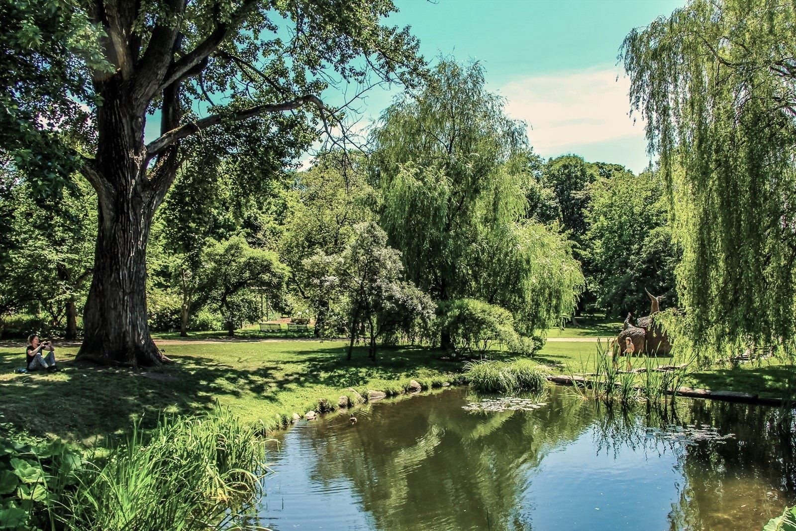 Botanisk hage, byens kanskje fineste park, ligger innen kort avstand fra leiligheten. Galleribilde