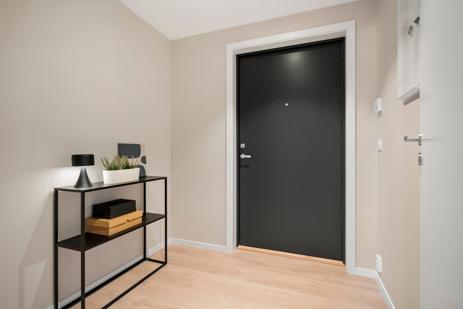 Romslig entré gang med god plass til sko og yttertøy. Galleribilde