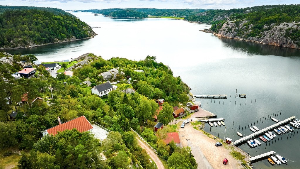 20394833.jpg Galleribilde