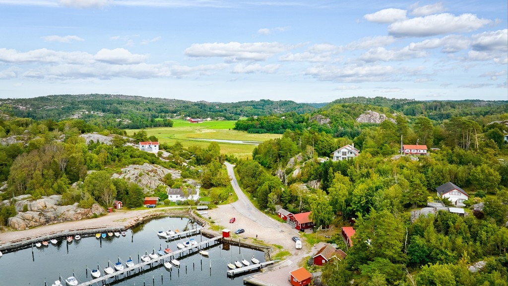 20394835.jpg Galleribilde