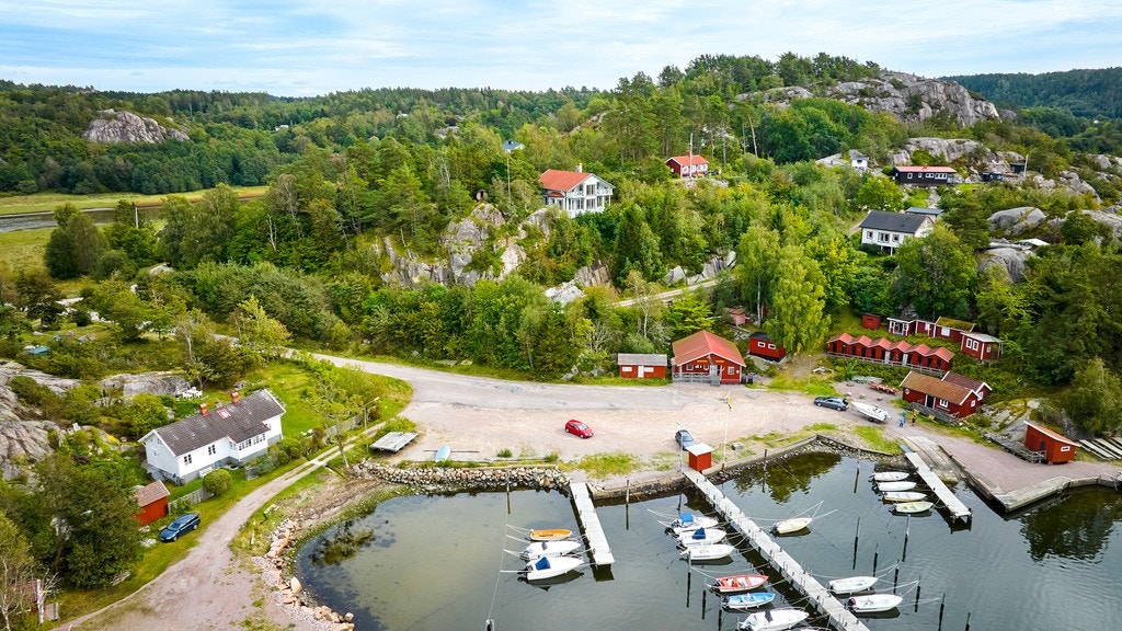 20394829.jpg Galleribilde