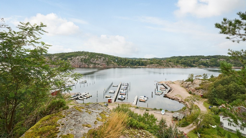 20394813.jpg Galleribilde