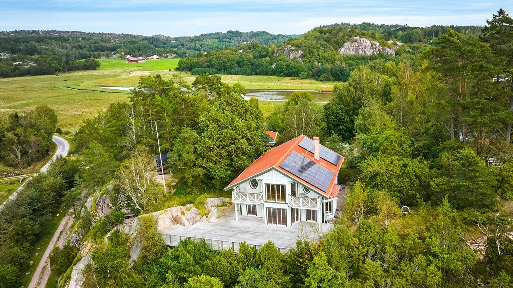 20394827.jpg Galleribilde