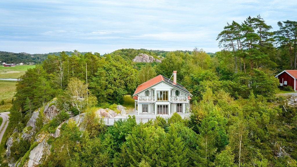 20394837.jpg Galleribilde