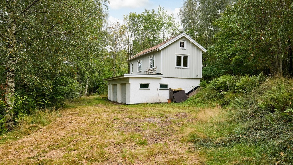 20394815.jpg Galleribilde