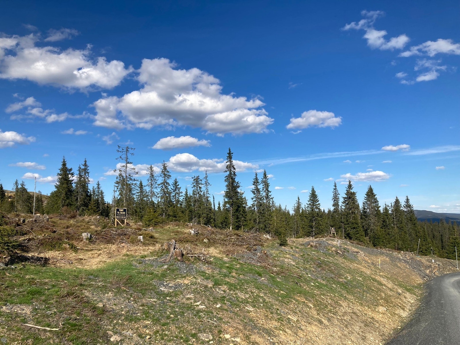 Tomten ligger på høydedraget opp til venstre på bildet Galleribilde