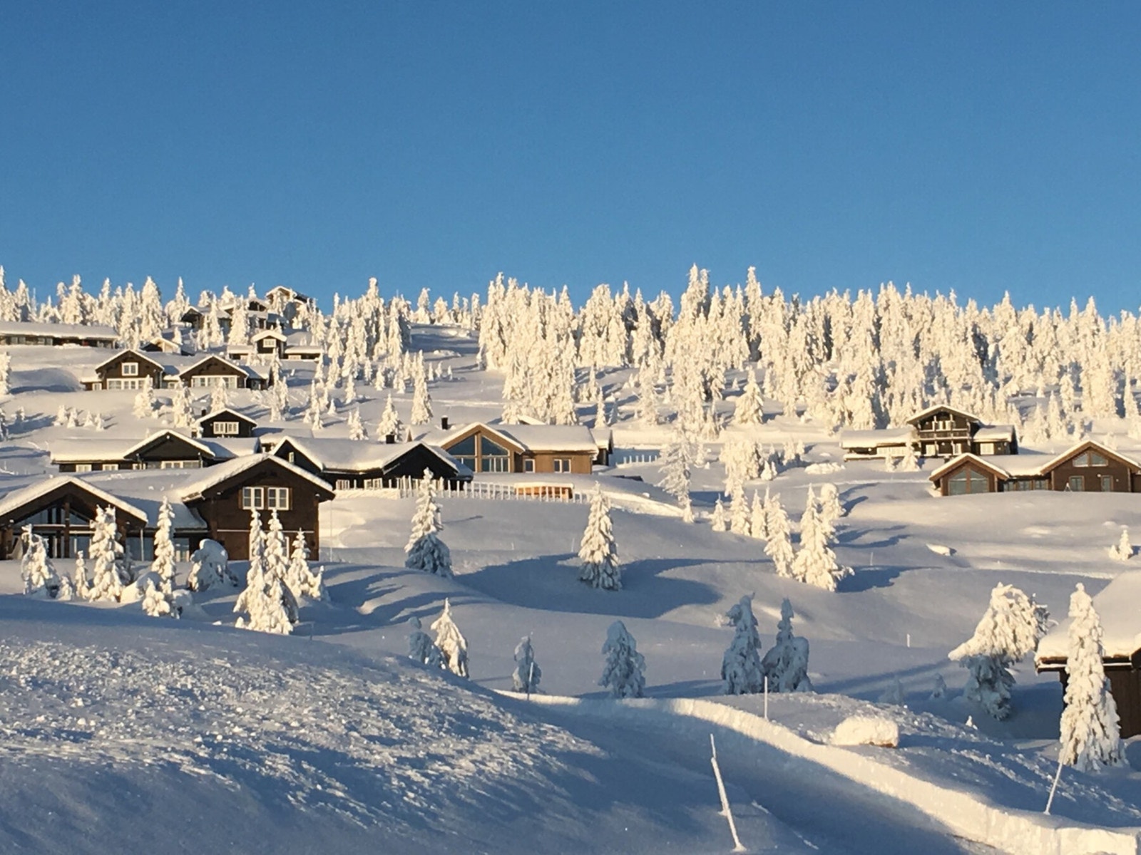 Foto fra Musdalssæter hyttegrend Galleribilde