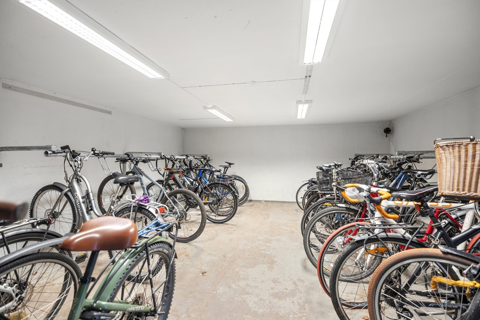 Felles sykkelbod i kjeller. Galleribilde