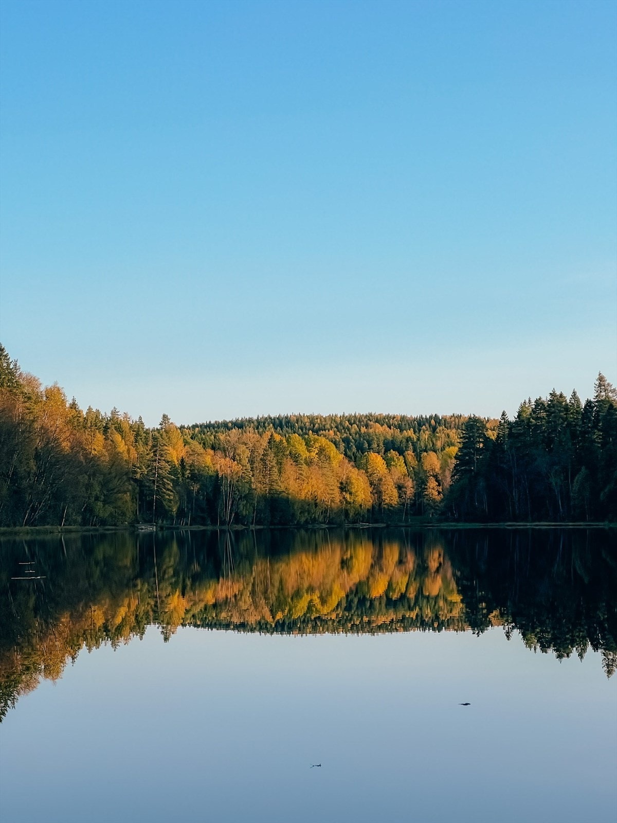 Nede ved Hvamsetertjernet finner man en populær badeplass. Idrettslaget har satt ut ei flytebrygge og kjørt sand på bunnen nærmest land. Er det kalde vintre med lite snø, kan du prøve skøytene på isen; stedet er en perle året rundt. Galleribilde