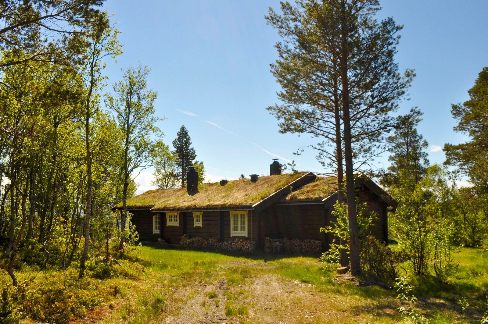 I Enlihaugen hytteområde kan du fritt velge hytteleverandør Galleribilde