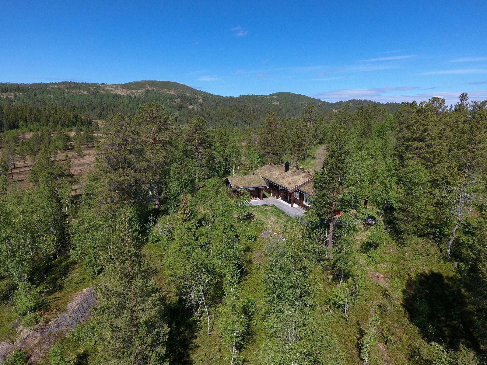 Utsikt mot nord med Svarfjellet 831 moh bak til venstre i bildet Galleribilde