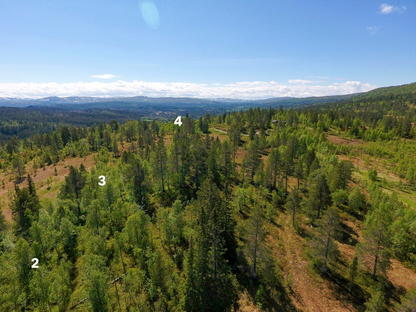 Vi vrir bildeutsnitt mot sør iforhold til forrige bilde og tomtene F2, F3 og F4 Galleribilde