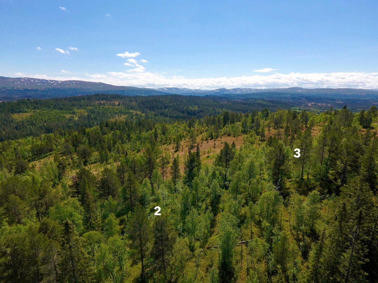 Her ser vi mot øst, sørøst og tomtene F2 og F3 Galleribilde