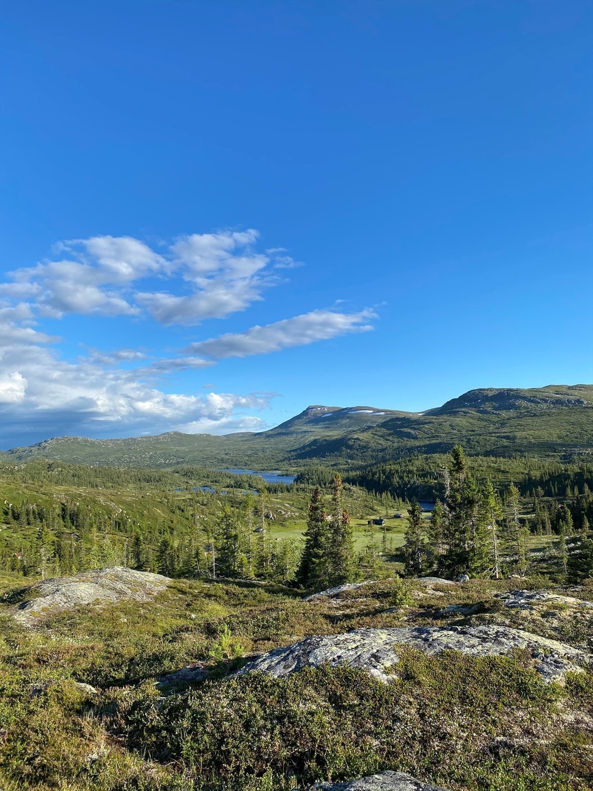 Høgevarde og Fyrisjø sett fra Rudsetran nord for Fyrisjø. Galleribilde