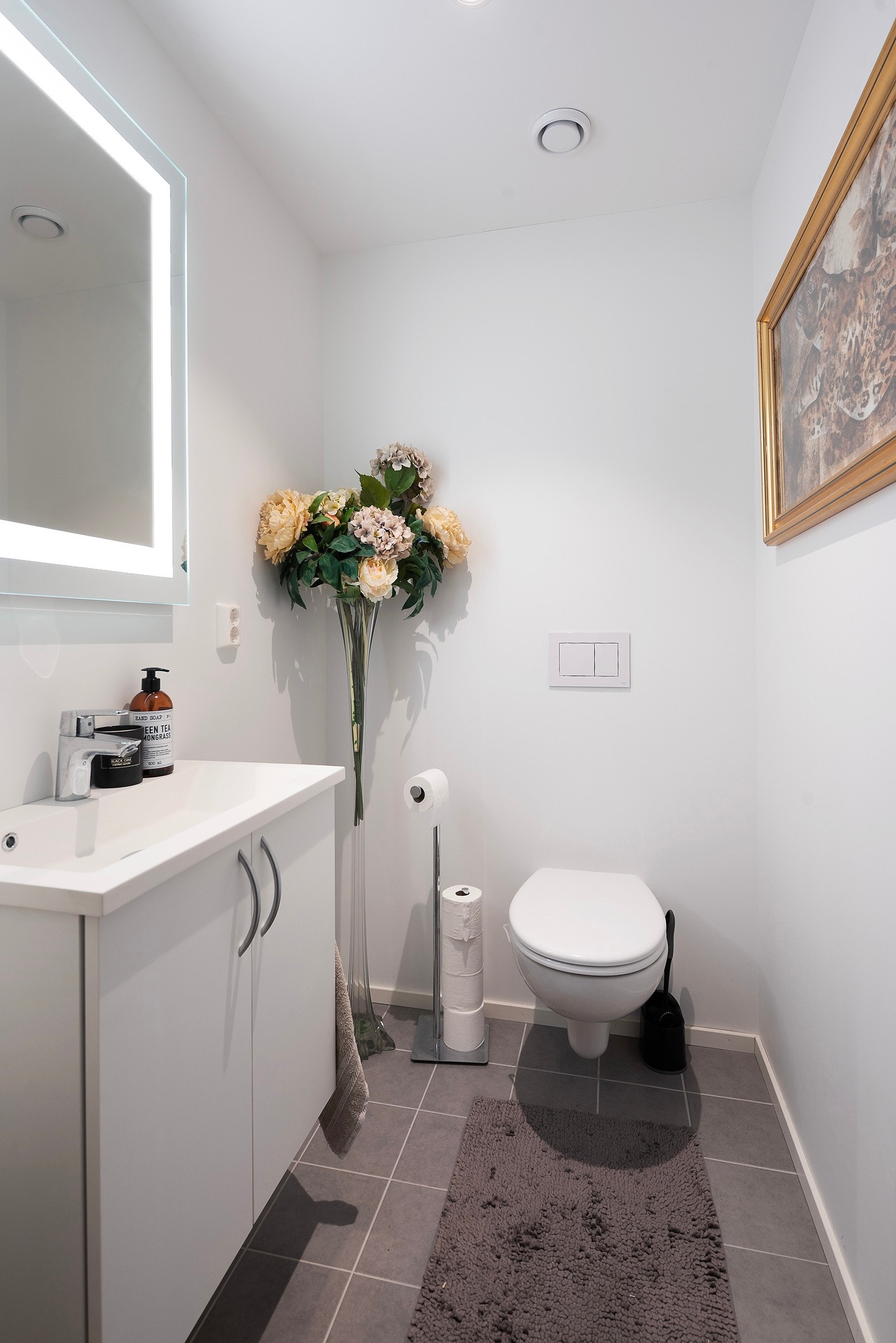 Gjestetoalett Galleribilde