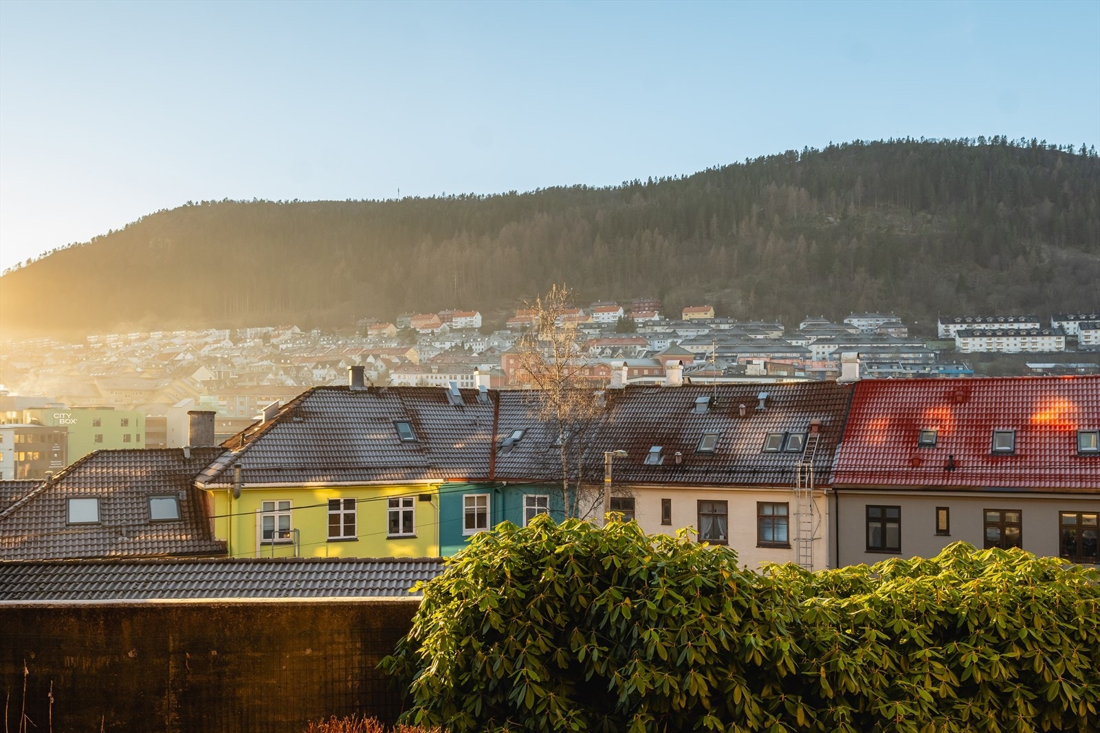 Utsikten mot Solheim og deler av Løvstakken og Løvstien - masse fine turstier på begge sider av Danmarksplass. Galleribilde