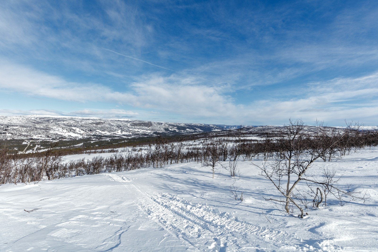 hellandslie2023_10 Galleribilde