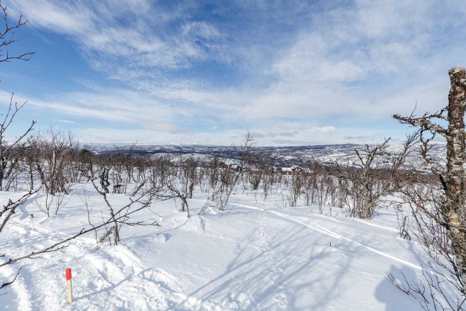 hellandslie2023_30 Galleribilde