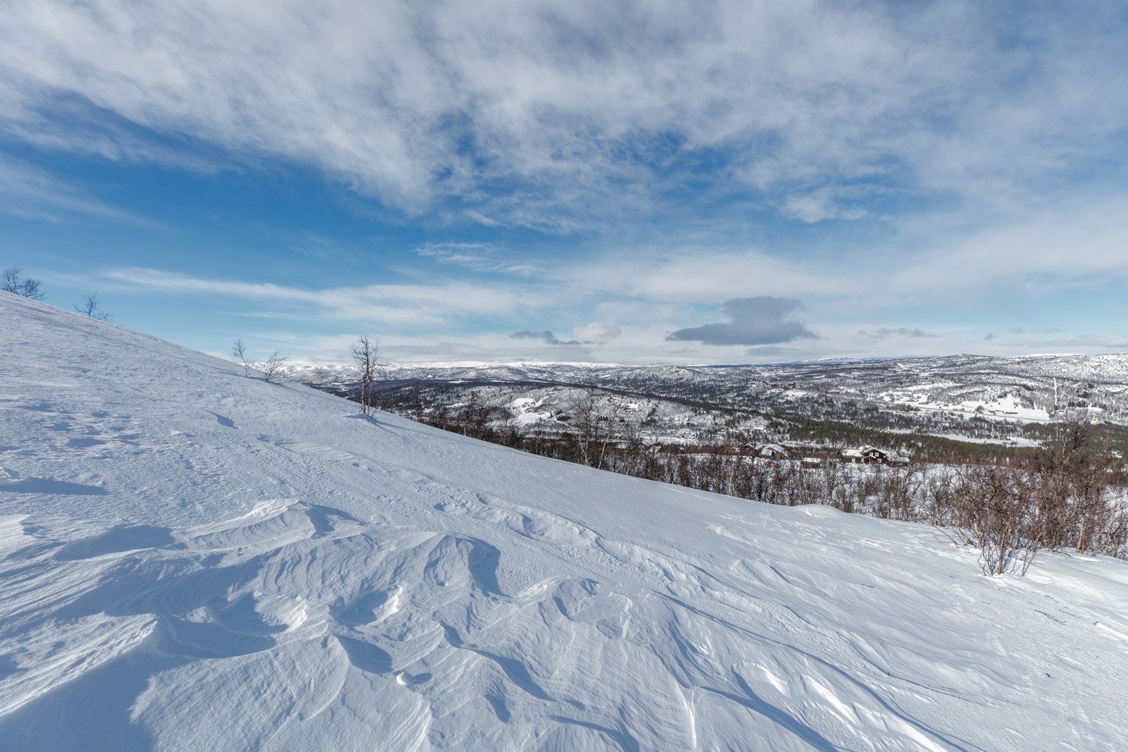 hellandslie2023_12 Galleribilde