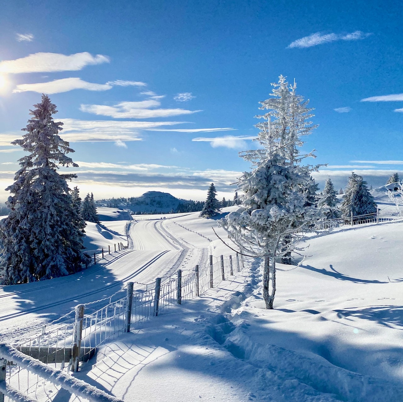 Flotte skiforhold rett utenfor hyttedøren. Galleribilde