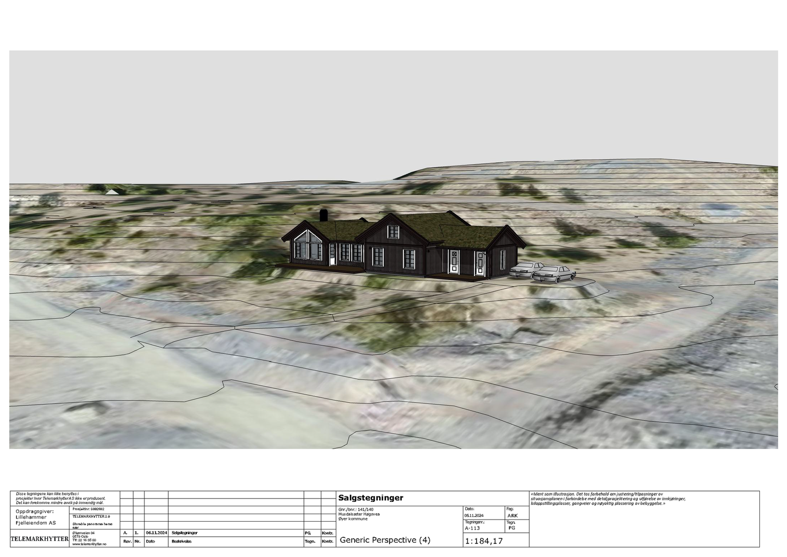 Illustrasjon hytte på tomt Galleribilde