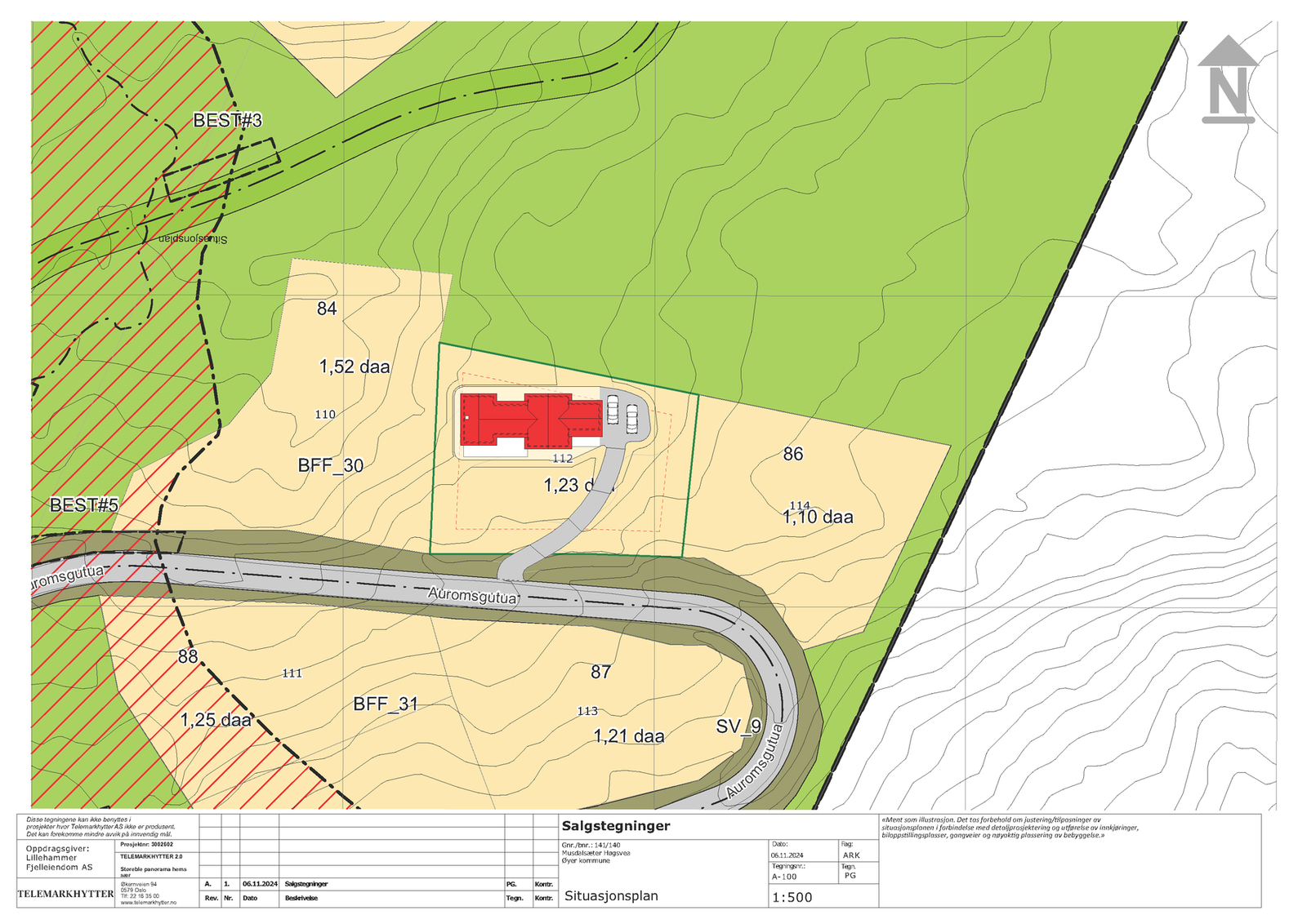 Situasjonsplan tomt Galleribilde